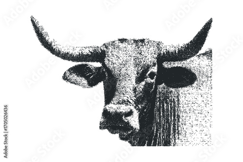 Bull head portrait with large horns and textured appearance on transparent background. Vector hand drawn illustration