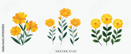 Cheerful yellow blossoms bringing joy to any design project