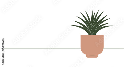 cactus in a pot
