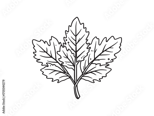 Oak Leaf Botanical Study Art Style