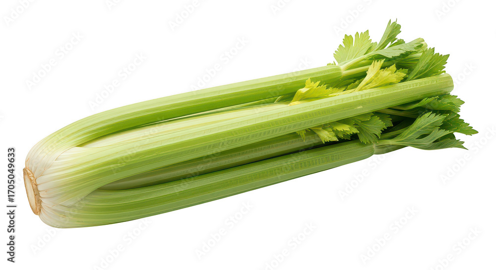 Fototapeta premium Fresh Celery Stalk On Black Background