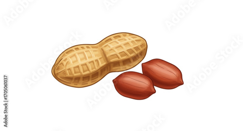 Nuts and seeds