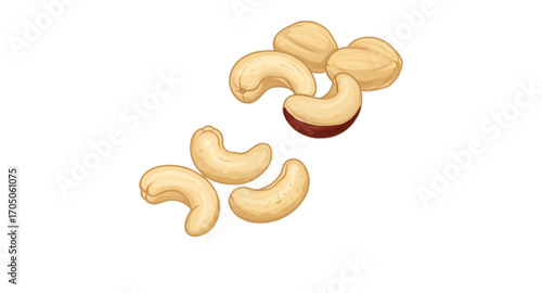 cashew nuts isolated