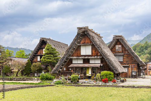 Scenic Shirakawa traditional village in Gifu Prefecture, Central Japan wtih gassho zukuri building style next to paddy field during springtime