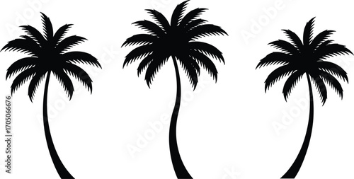 Silhouette of three tropical palm trees with curved trunks, coconut tree vector design for summer, beach, island, exotic paradise illustration