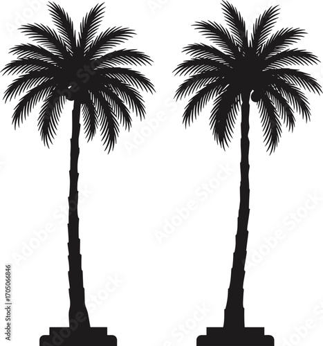 Two tropical palm tree silhouettes isolated on white background, coconut palm vector illustration, exotic summer nature design elements for decoration