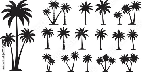 Tropical palm tree silhouettes set, black coconut tree vector illustration, beach holiday design element, exotic summer decoration, island paradise symbol