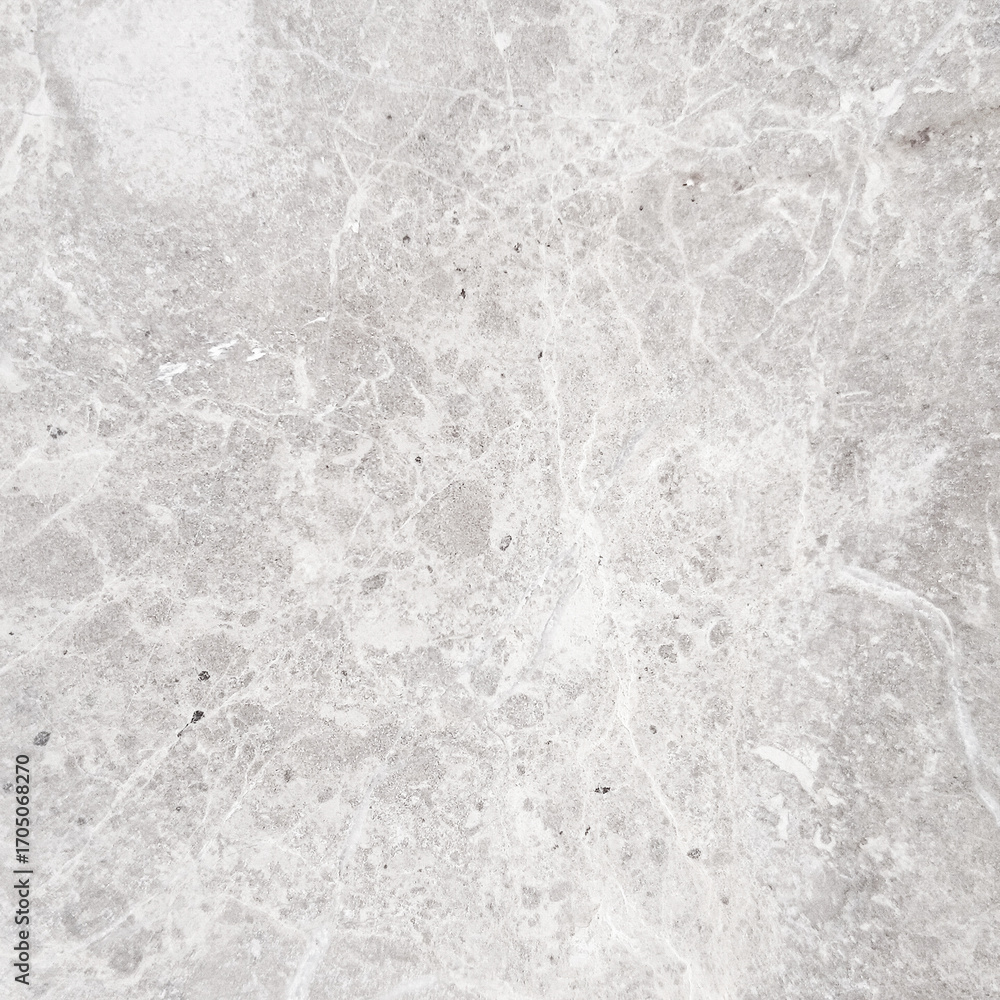 Fototapeta premium gray veins marble