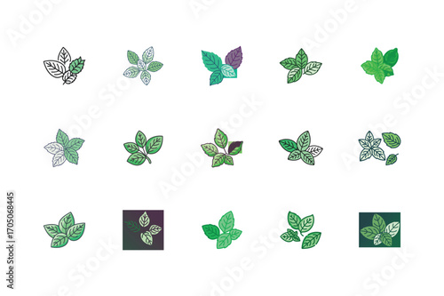 Fresh Basil Leaves, Green Herb Collection, Culinary Leaf Set, Organic Plant Icons, Natural Herb Bundle