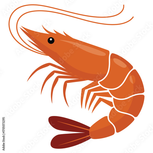shrimp vector illustration