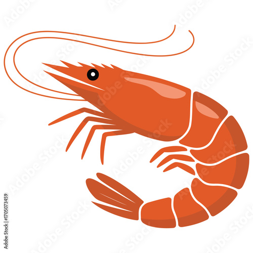 shrimp on white background