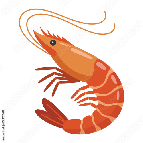 shrimp on white background