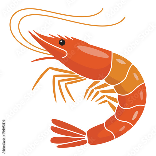 shrimp on white background