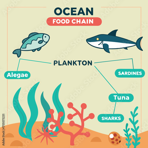 Ocean Food Chain: An illustrated ocean food chain, detailing the flow of energy from algae to plankton, and culminating in tuna and shark, emphasizing interconnectedness and ecological balance.
