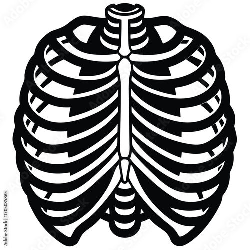 ribcage vector icon