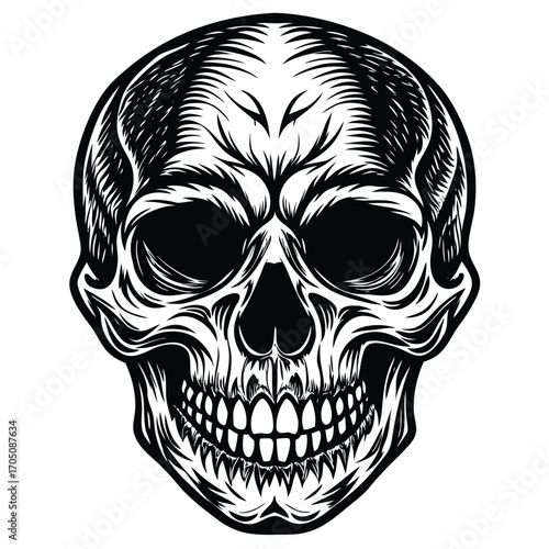 skull