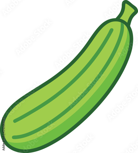 zucchini vector clipart illustration