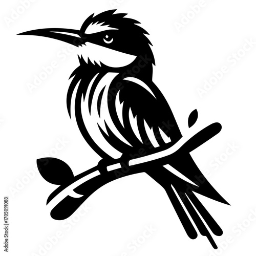 Illustration of a perched bird with long beak on a branch in black and white vector format design art