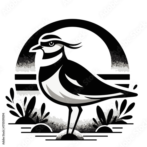 Illustration of a black and white killdeer bird standing in a natural habitat with plants and a sun