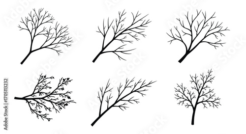 Collection of hand-drawn bare tree branches for seasonal designs vector