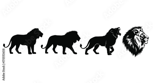 Majestic lion silhouettes and detailed head silhouette symbolizing strength and royalty vector
