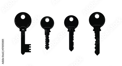 Four black keys of different sizes symbols of access security opportunity and solutions representing secrets vector