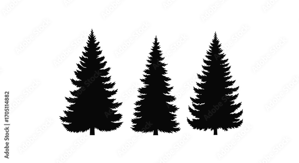 Fototapeta premium Three textured black pine tree silhouettes standing together nature forest landscape design element vector