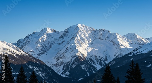 Wallpaper Mural Snowcapped mountain range under a clear blue sky framed by evergreen trees in the foreground Torontodigital.ca
