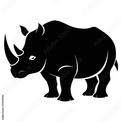 rhino isolated on white