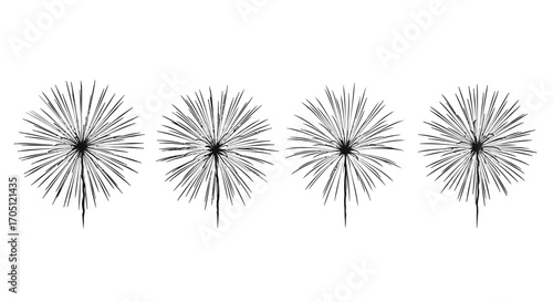 Four delicate dandelion seed heads in a row abstract botanical art simple graphic design vector