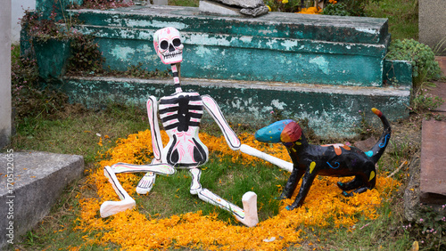A skeleton and a dog are sitting on the grass in front of a cemetery. Mexico, zacatlan de las manzanas, puebla, day of the dead mexican tradition