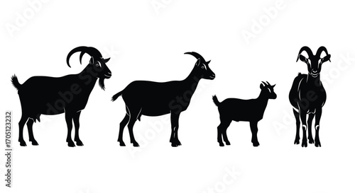 Silhouettes of four goats standing side by side with different horn styles and sizes vector