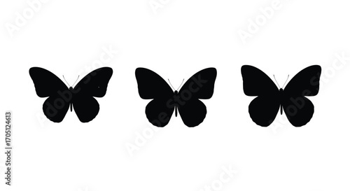 Three silhouette butterflies fluttering gracefully against a clean vector