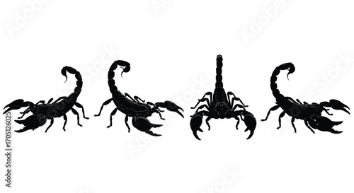 Four silhouettes of scorpions displayed in different dynamic poses for graphic design vector