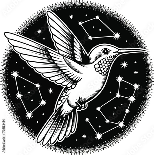 Black and white hummingbird in starry night sky flight