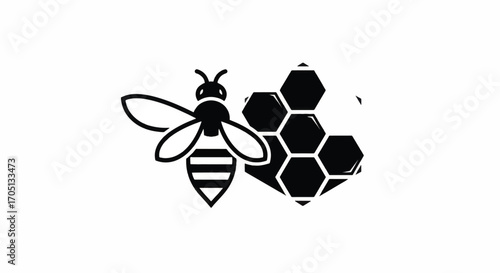 Detailed Black and White Illustration of Bee and Honeycomb.