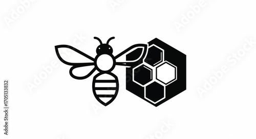 Stylized Bee and Honeycomb Graphic.