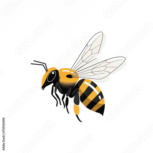 A detailed illustration of a bee in flight with its wings spread.