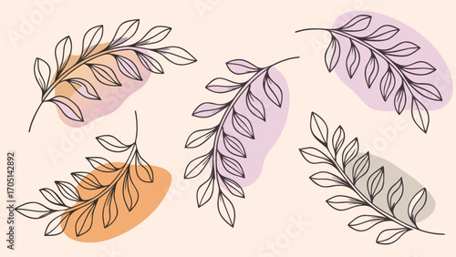 Delicate botanical branches with pastel shapes leaves outline