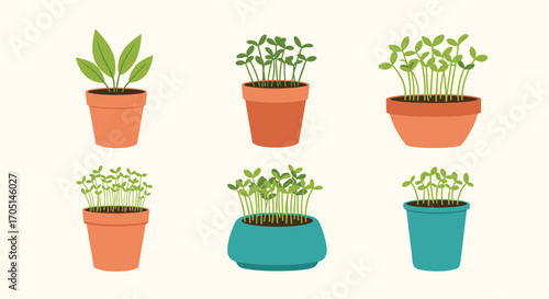 A collection of potted plants and sprouts illustrating the beauty of home gardening and plant growth.