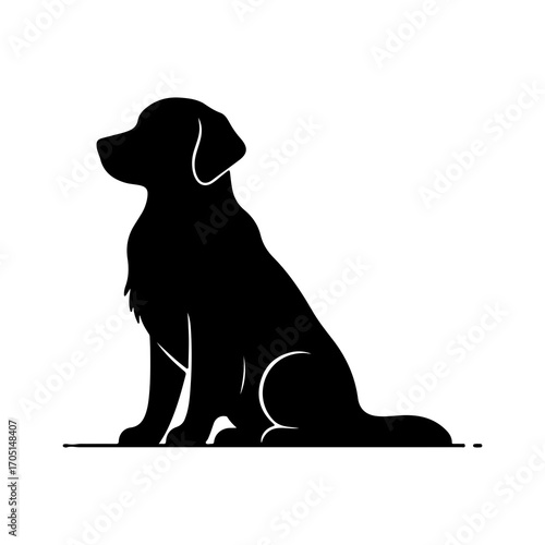 Golden retriever silhouette with transparent background