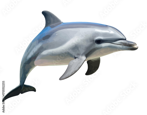 A beautiful grey bottlenose dolphin leaps gracefully, isolated on a clean white background.