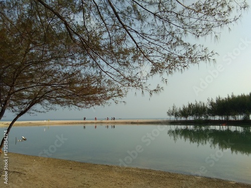 Tranquil Beach Scene With Calm Water, Trees, Distant Visitors, And Gentle Sand Border At Sunset