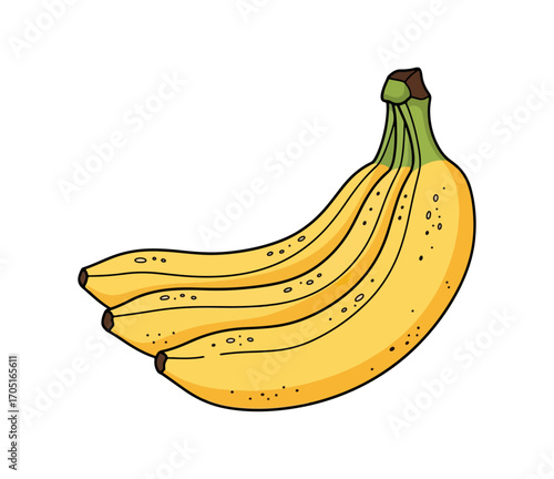 Bunch of bananas illustration