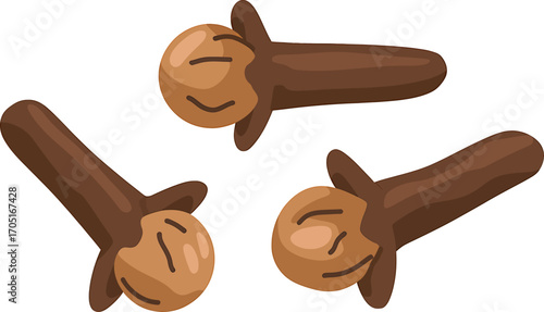 Whole Cloves Spice Illustration