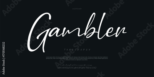Hand drawn vector alphabet. Modern monoline signature script font. Elegant Signature Font. Best Alphabet Beautiful Calligraphy Signature Font lettering
