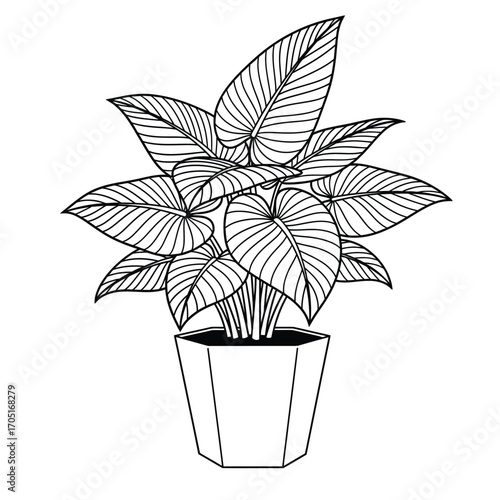 Hand drawn houseplant in pot, vector illustration