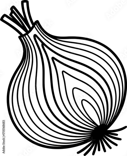 Detailed Line Art Illustration of an Onion