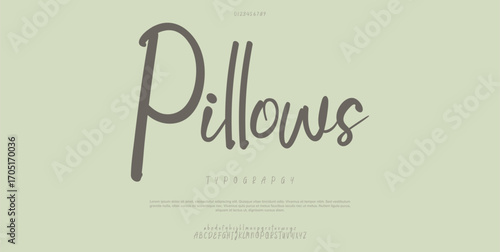 Hand drawn vector alphabet. Modern monoline signature script font. Elegant Signature Font. Best Alphabet Beautiful Calligraphy Signature Font lettering
