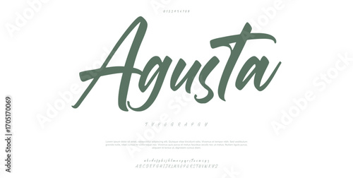 Elegant minimalist alphabet display font vector. Luxury and feminine typeface.
